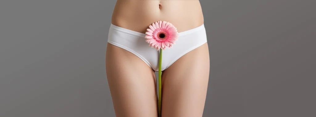 Genital Organ Onarımı