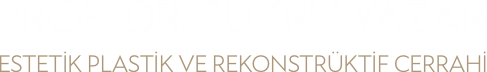 Logo-Son-2