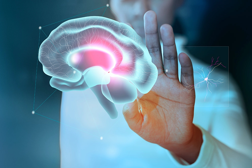 Brain Rot (Beyin Çürümesi)