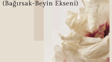 Psikiyatride Yapay Zeka ve Makine Öğreniminin Dönüştürücü Gücü